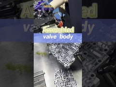 بدن شیر را جمع کنید